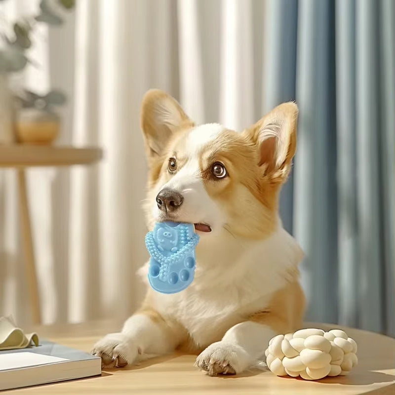 Shitty pet dog toys