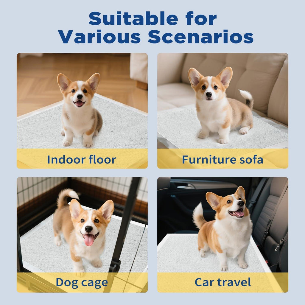 50-Pack Pads d'entraînement pour animaux Pads de chiots 5-Layer-Proof Design 22-Inch carré jetable P