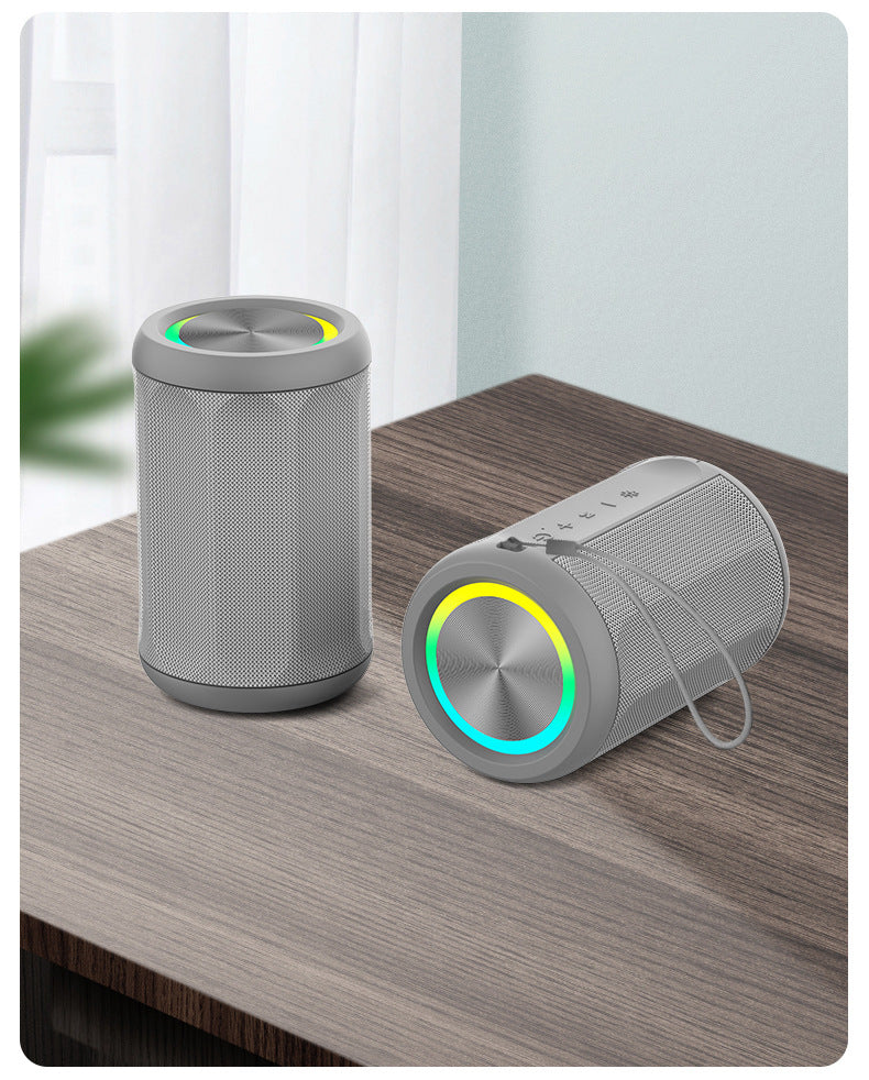 Haut-parleur Portable Home Subwoofer pour usage extérieur