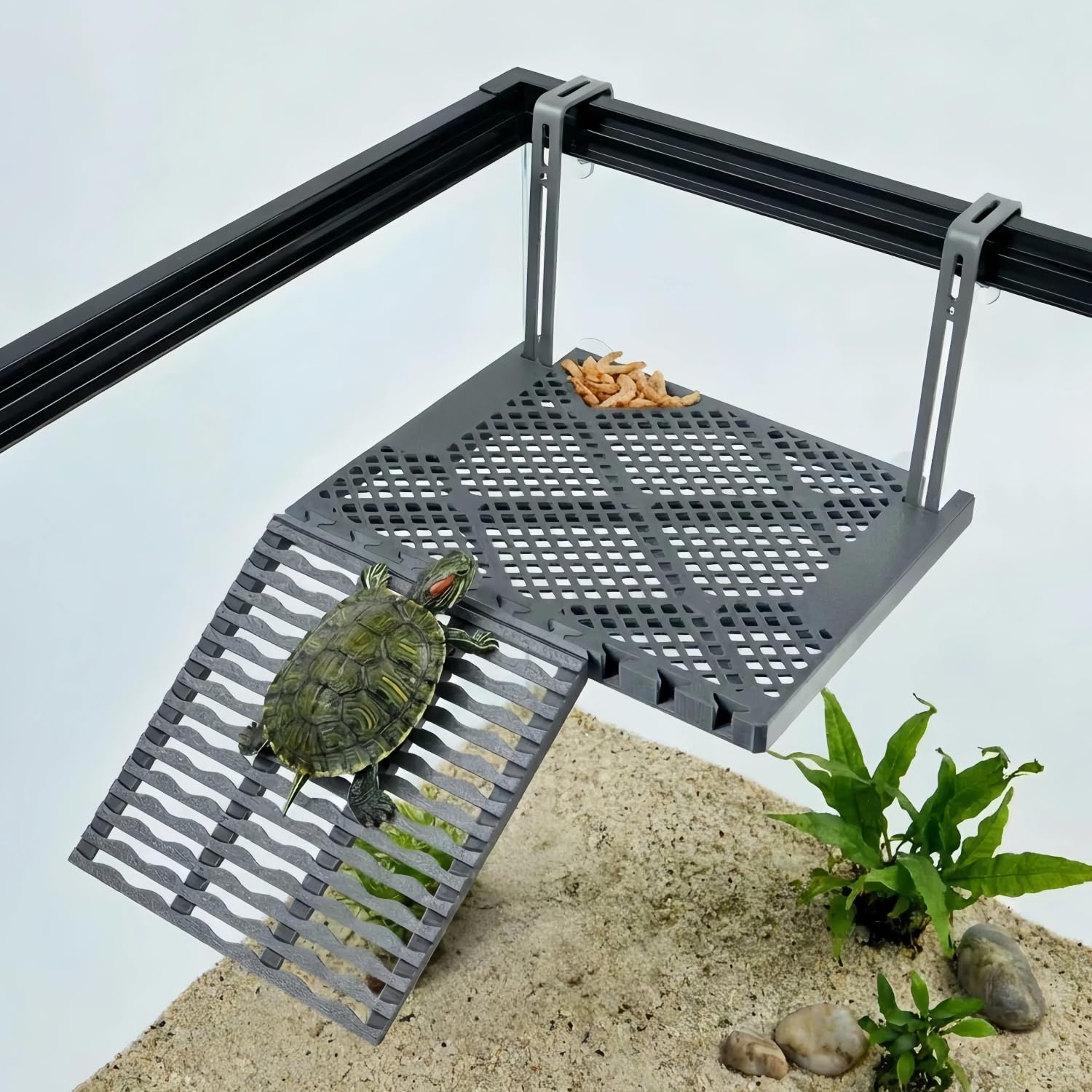 Plate-forme de mise bas de tortue suspendue avec plateau alimentaire intégré