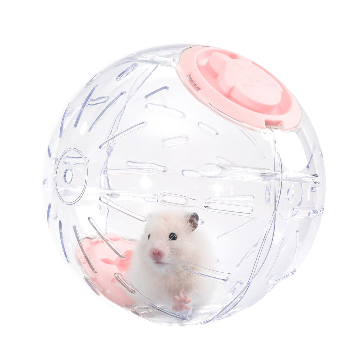 Balle de hamster de 7.9 pouces