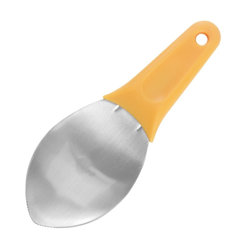 Mango Peeler en acier inoxydable Viande Spoon Mango Cutter dés