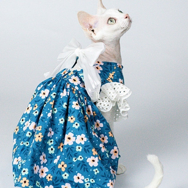 Robe de princesse en coton d'été de luxe pour les chats Sphynx