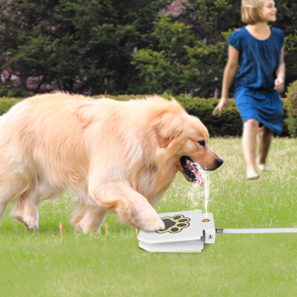 1Pc Fontaine d'eau pour chien extérieure pour chien Distributeur d'eau Step-on Activated Sprinkler with In