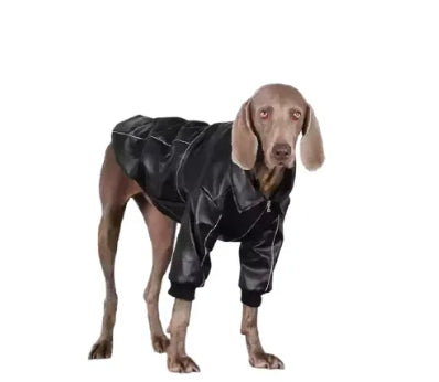 Vêtements de chien pour les races moyennes à grandes Veste en cuir noir automne pour les Labradors