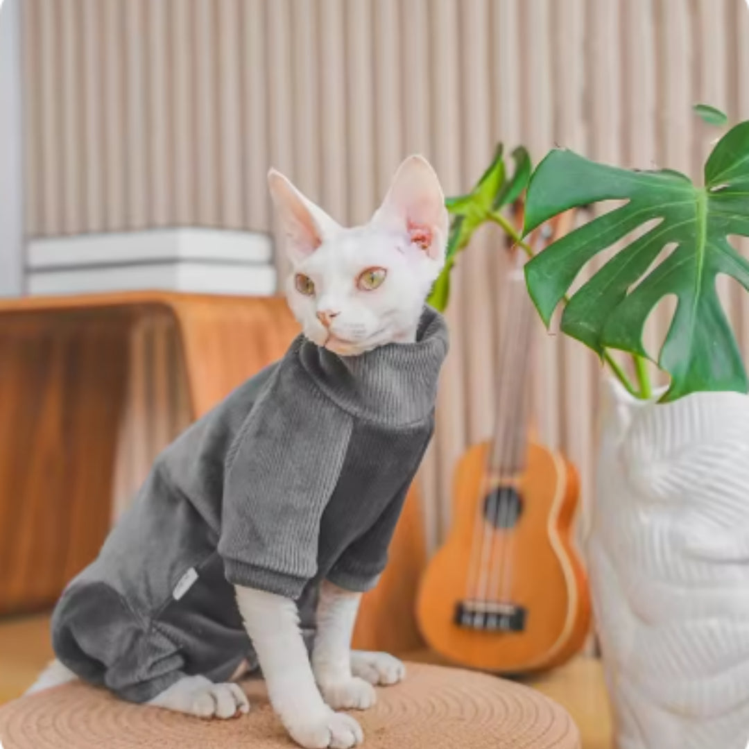 Habillements de chat sans poils recouverts de polaire