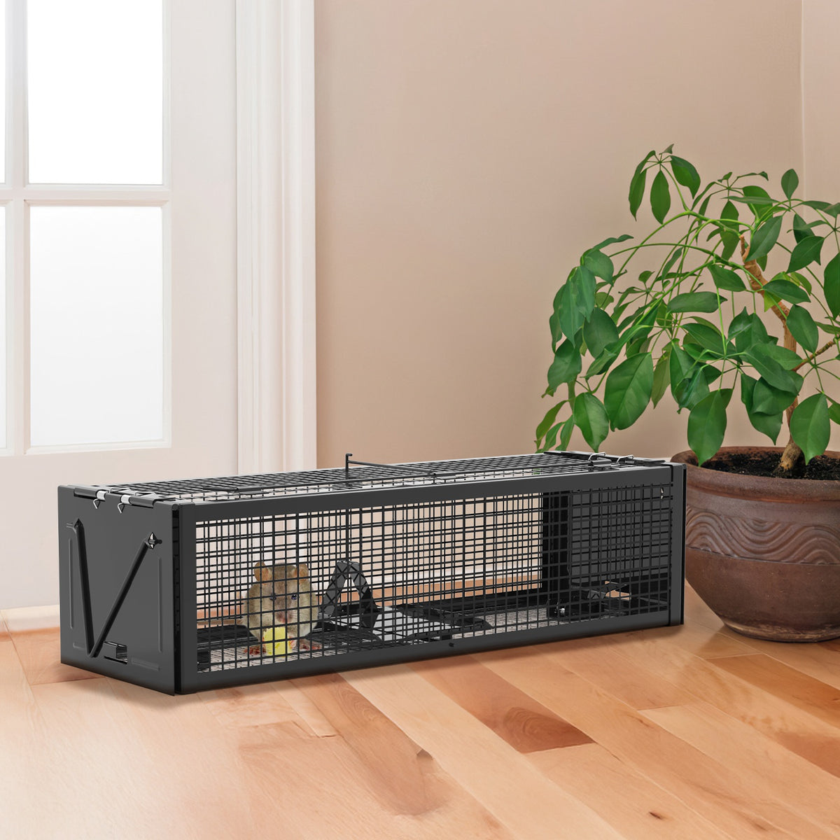 2Pack 15.35x4.72x3.94en 2-Door humain Rat Trap galvanisé en fer Rodent Cage Reusa