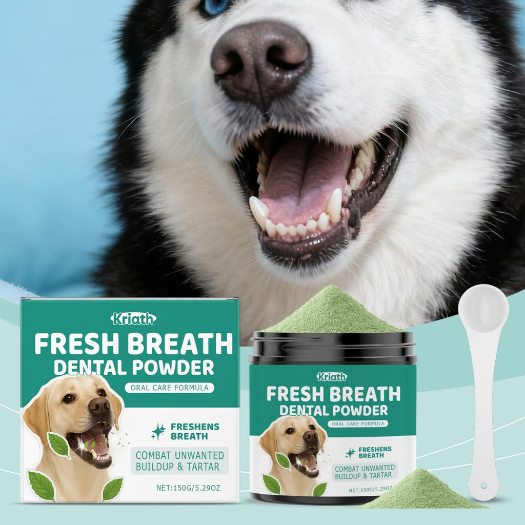 Poudre de nettoyage de dents de chien