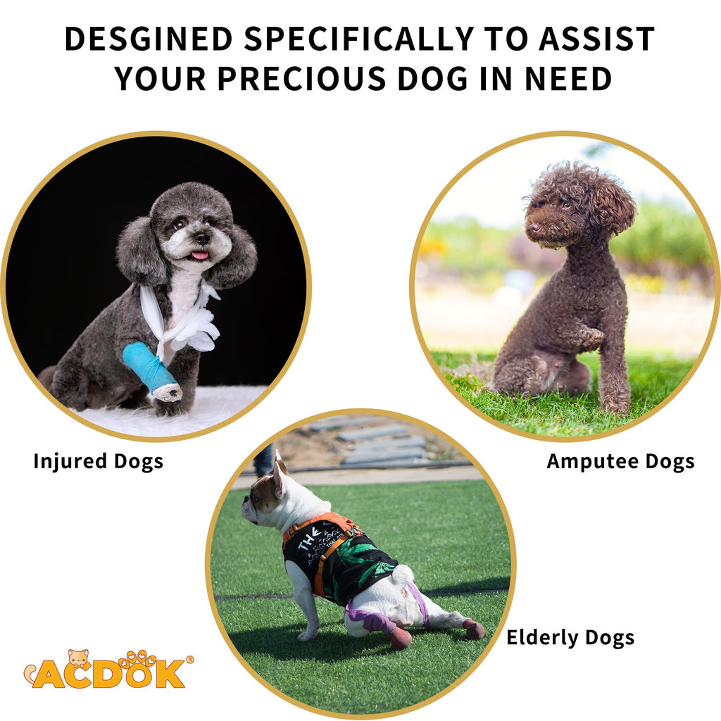 Clothing for senior dogs