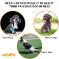 Clothing for senior dogs