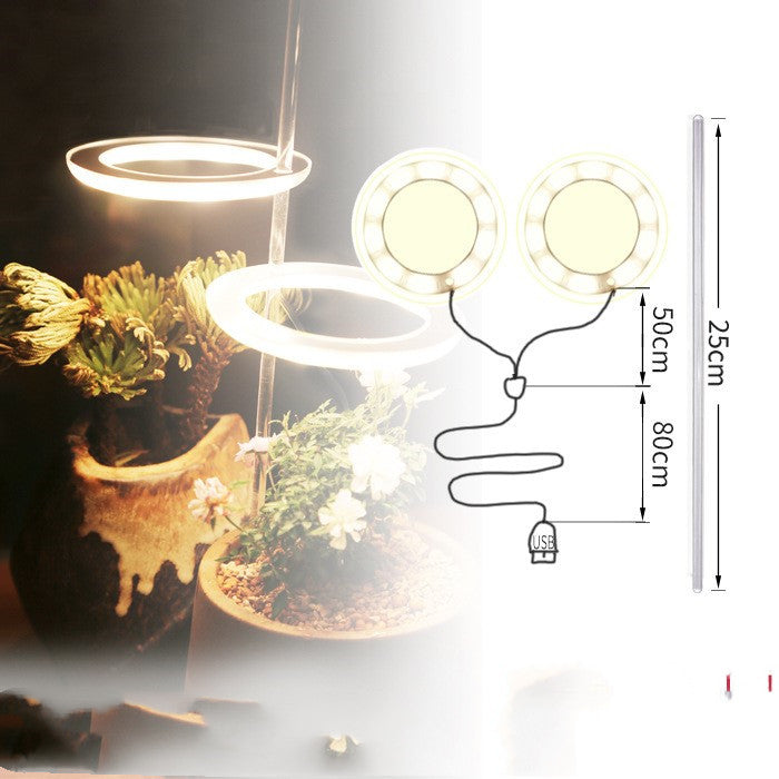 Full-spectrum LED imitant soleil coloration plante lampe de remplissage succulente