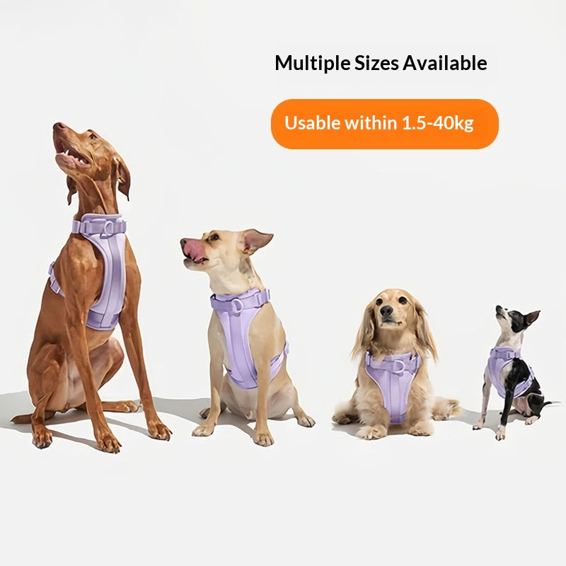 Veste respirante et confortable pour chiens