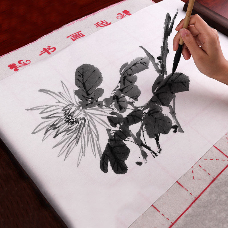 Papier promotionnel santé Liupintang 100 feuilles