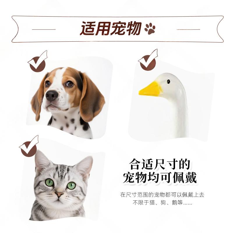 Pet Bangs