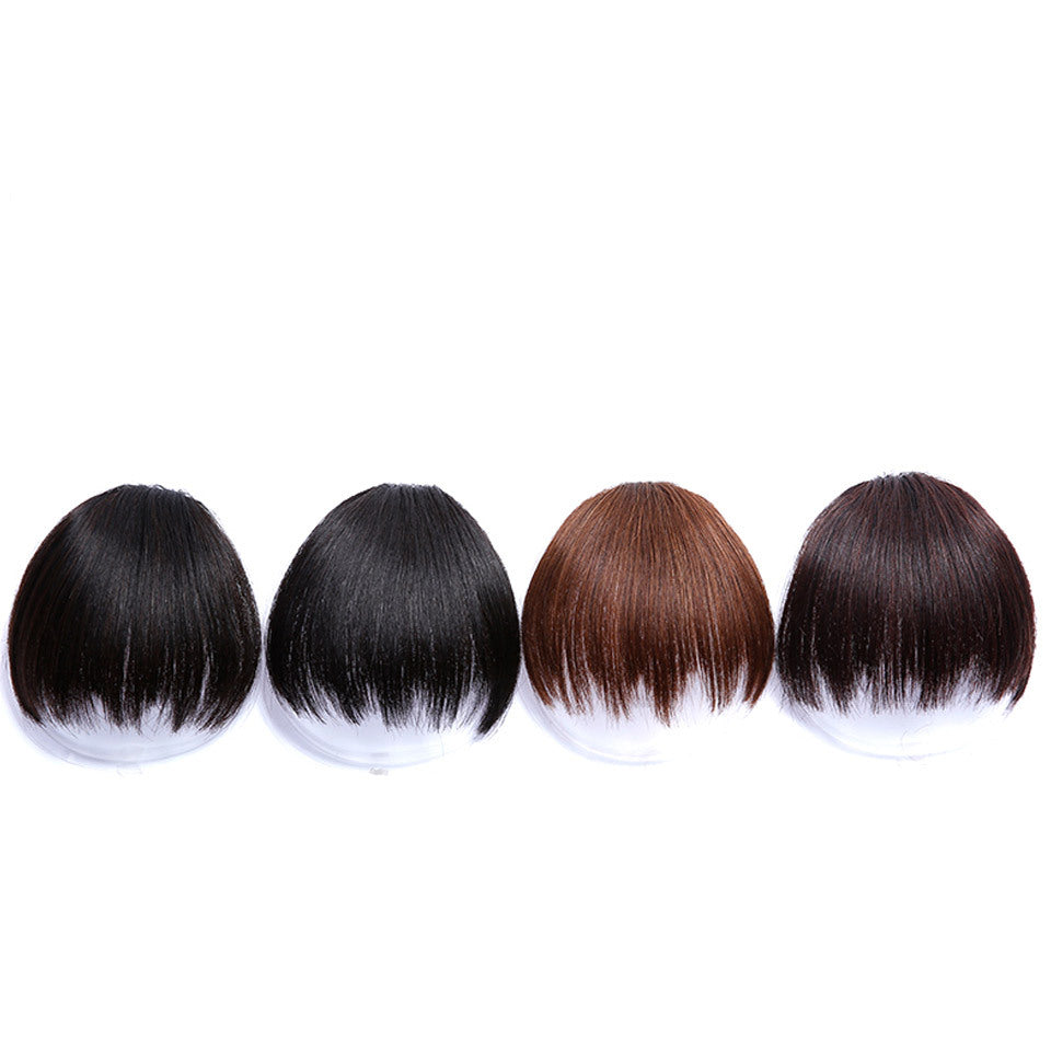 Personnalité chien non courant gnawing bangs