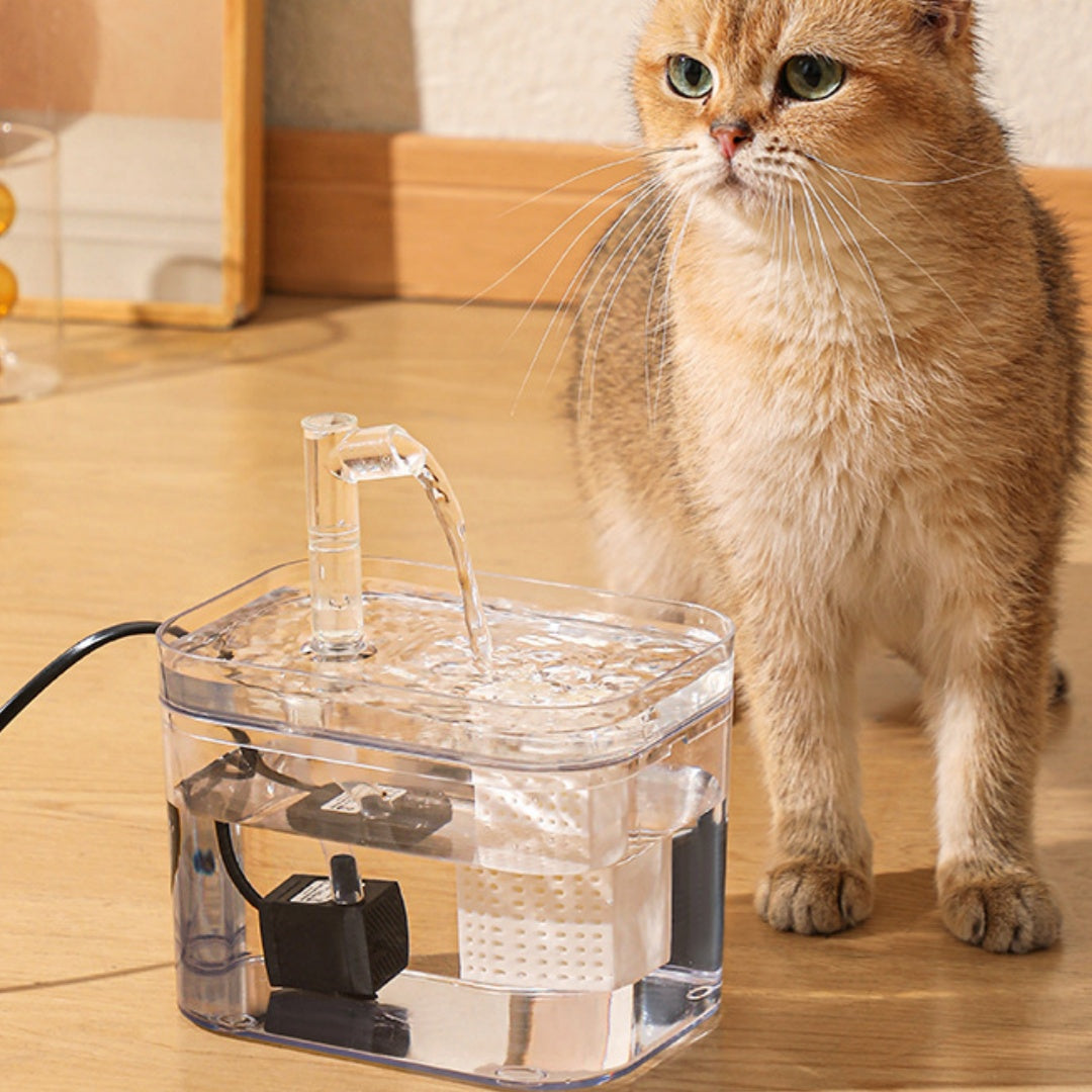 Fontaine d'eau de chat à circulation automatique portable