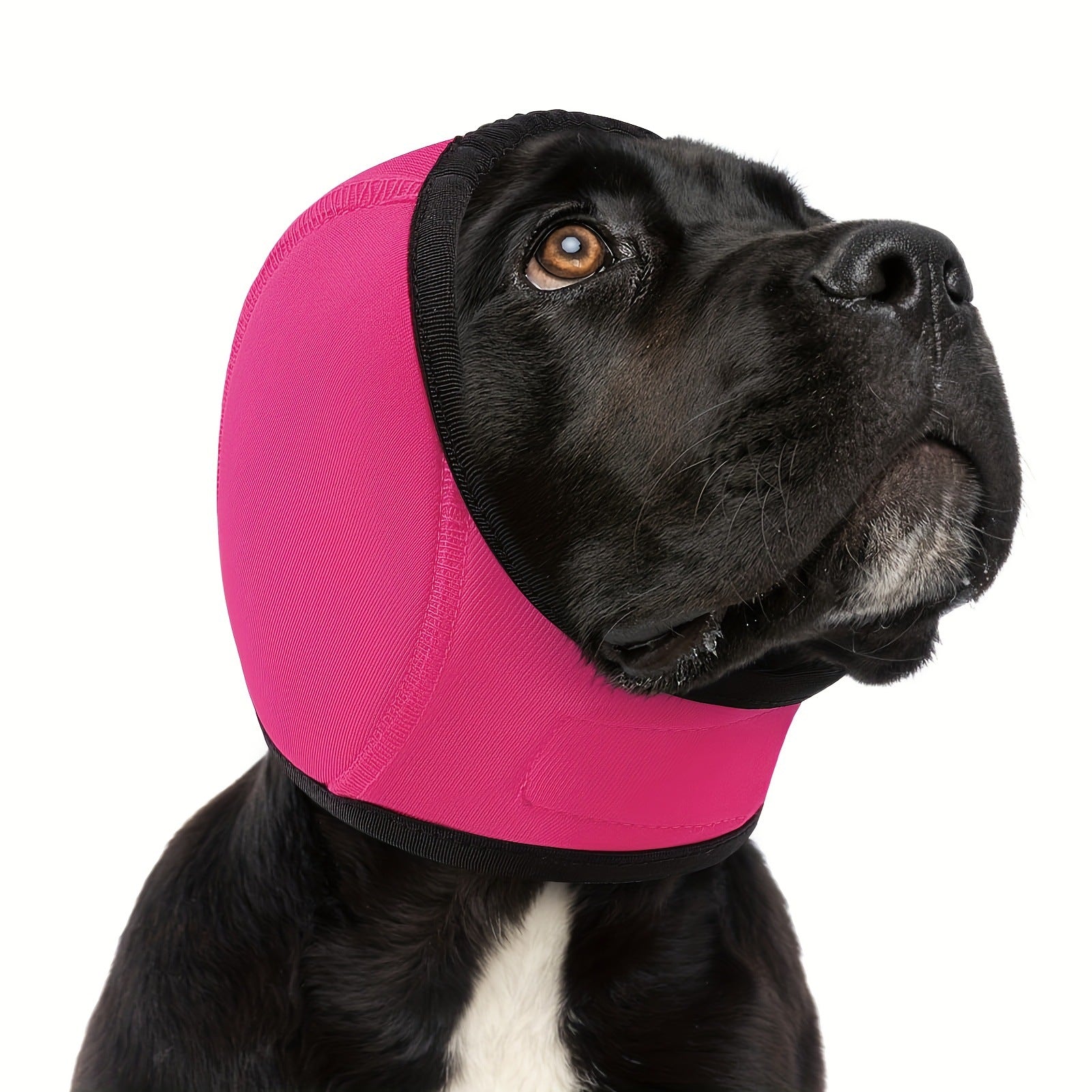 Enveloppe tête de chien - oreilles silencieuses pour l'anxiété