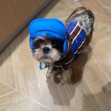 Mignon et chaud en coton rembourré avec un chapeau pour chiens et chats