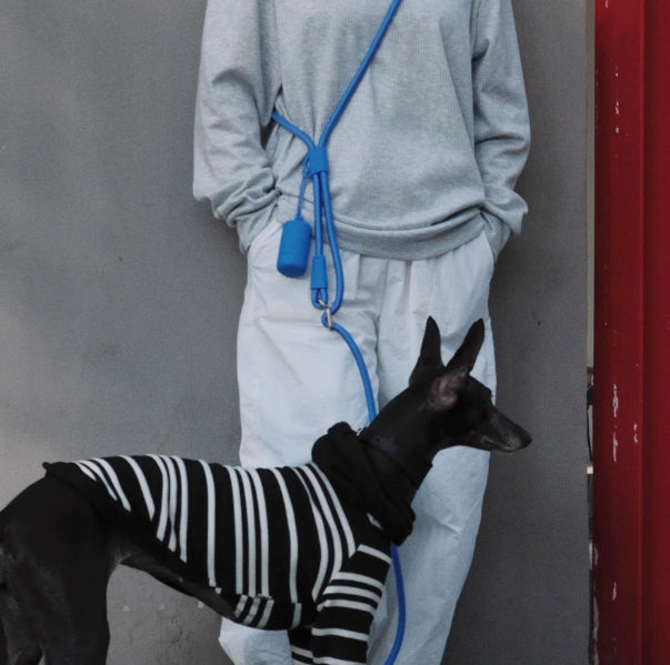 Pet Leash Hands-free Cross-body Waist-worn Multi-fonctionnel