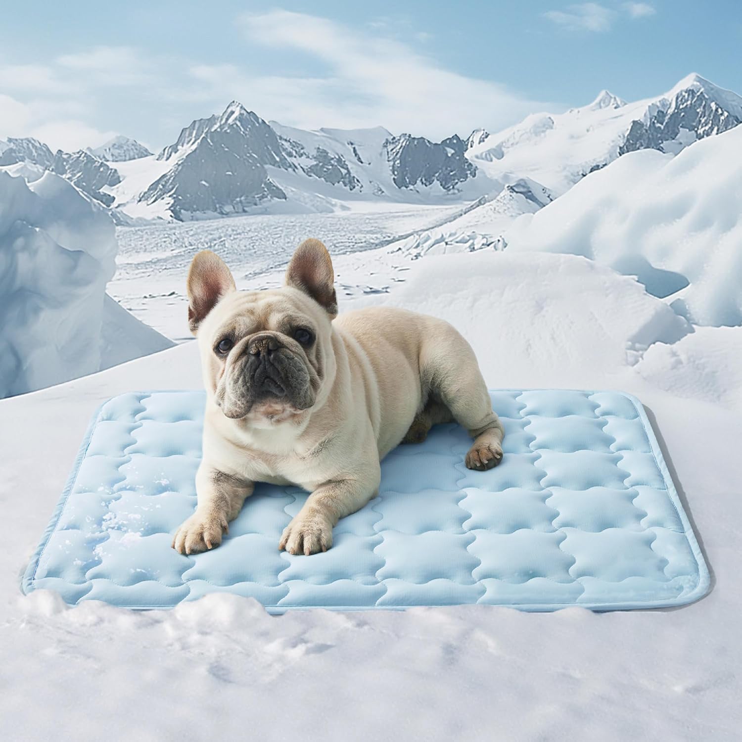 Tapis de glace pour animaux de compagnie lavable à la machine