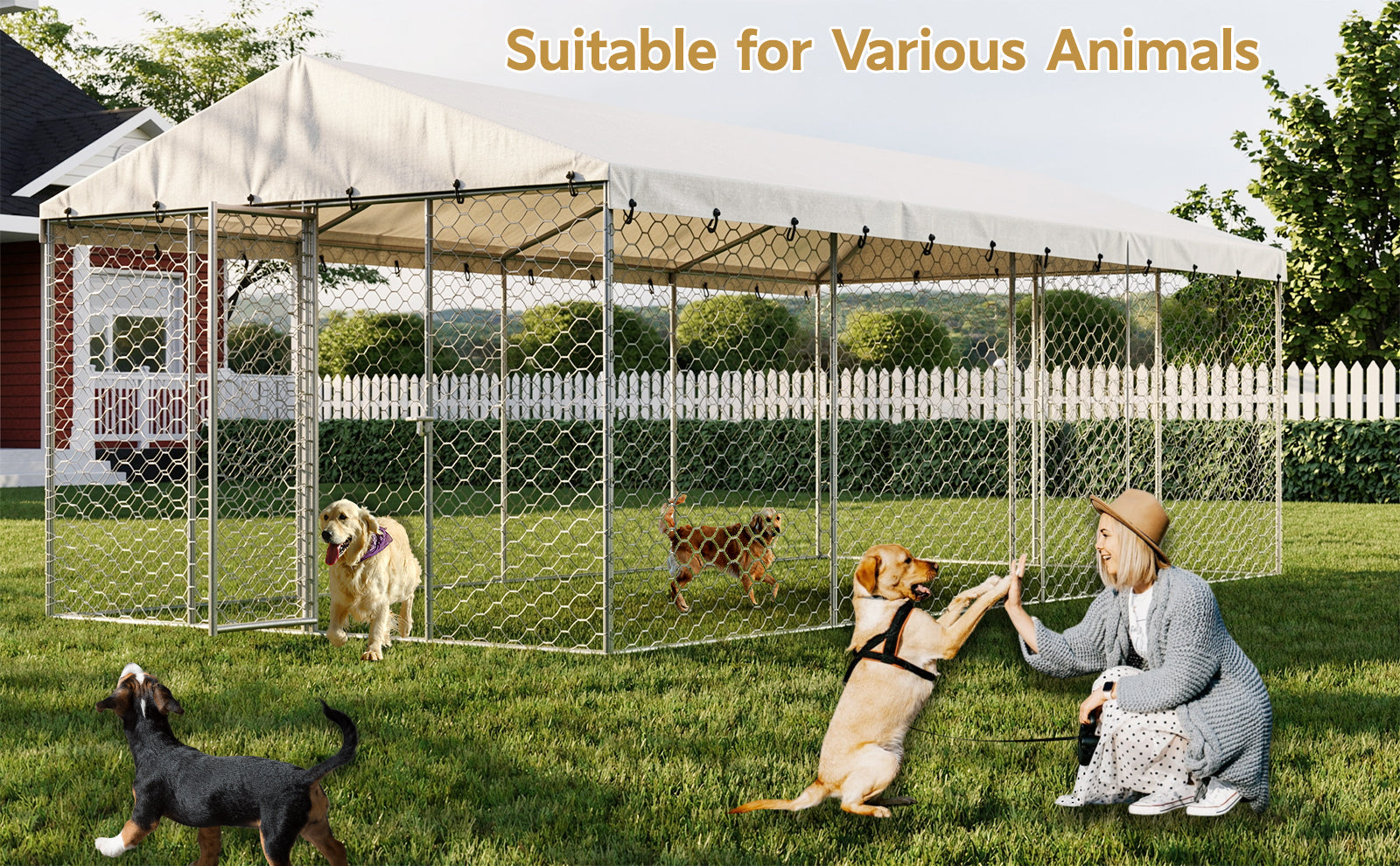 10x20 FT Grand Kennel de chien extérieur avec canopée