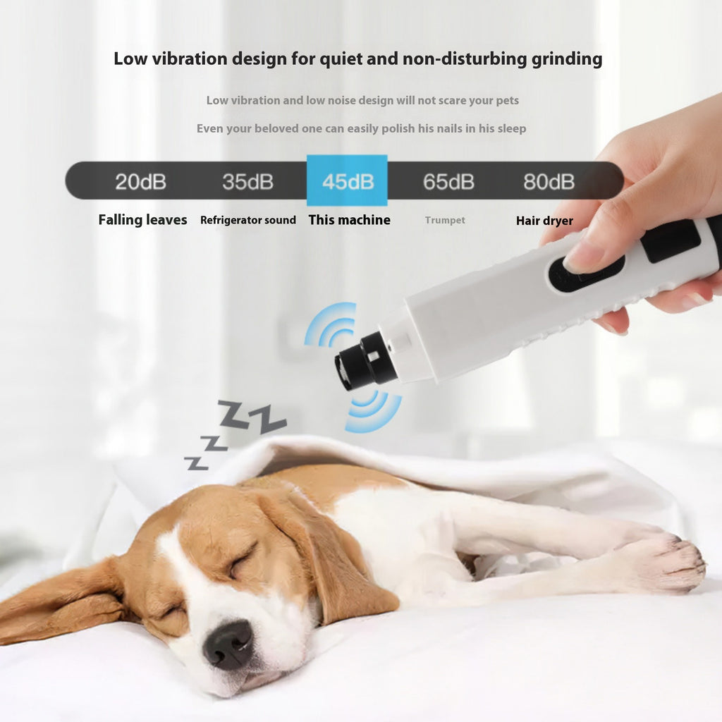 Retireur de Nail Polonais pour animaux de compagnie avec lumières LED de haute puissance