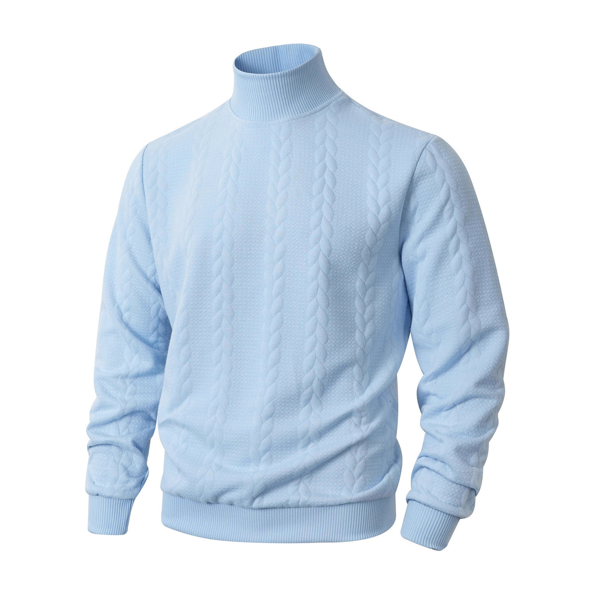 Hommes Mode Jacquard Col Tortue Chandail chaud