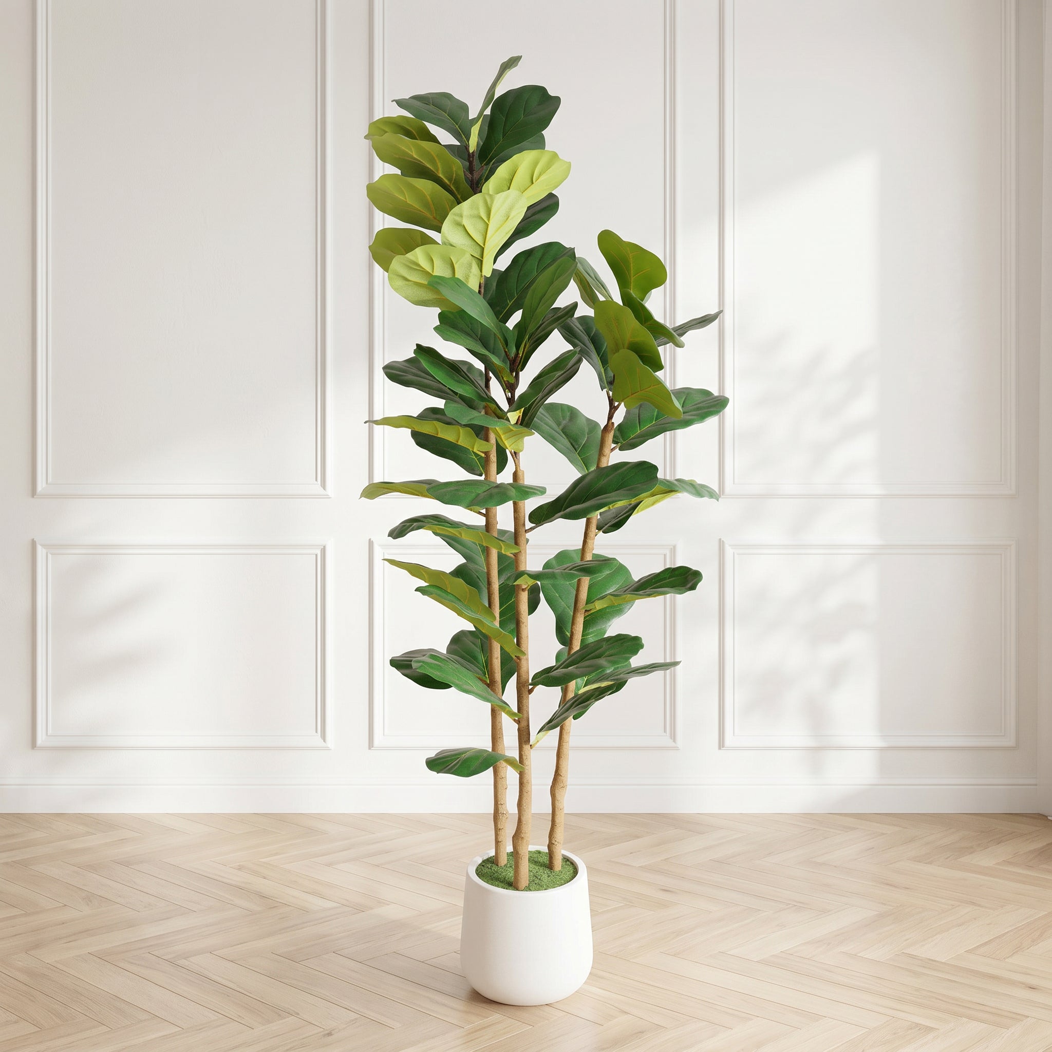 5.2FT Figuier artificiel de feuille avec pot blanc décoratif