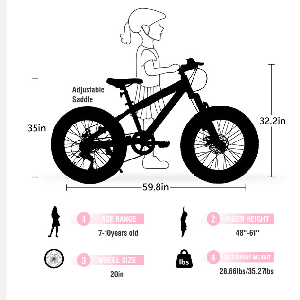 V202035 20 pouces Fat Tire Bike 7 Speed Mountain Bike