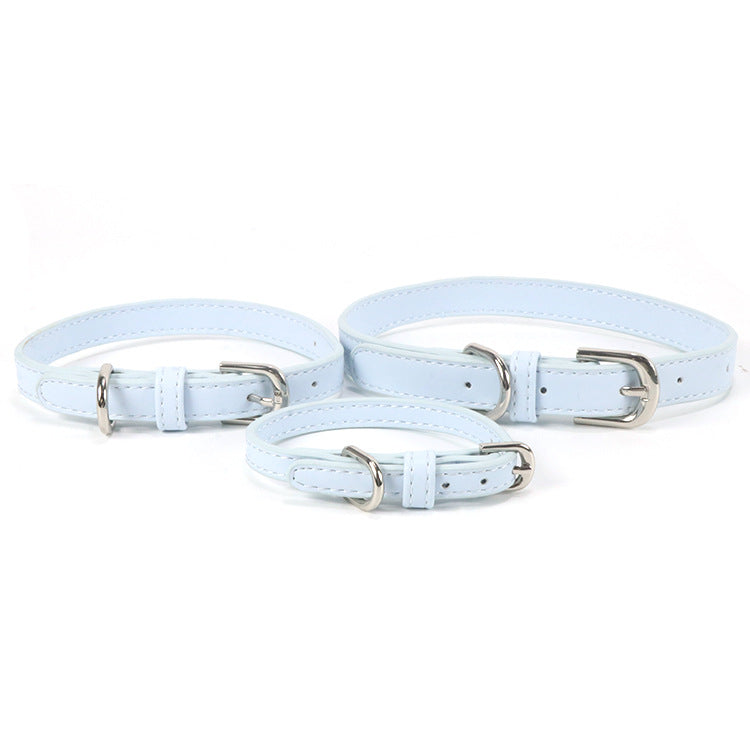 Collier pour chien en cuir pour chiens de taille petite à moyenne avec une corde de traction