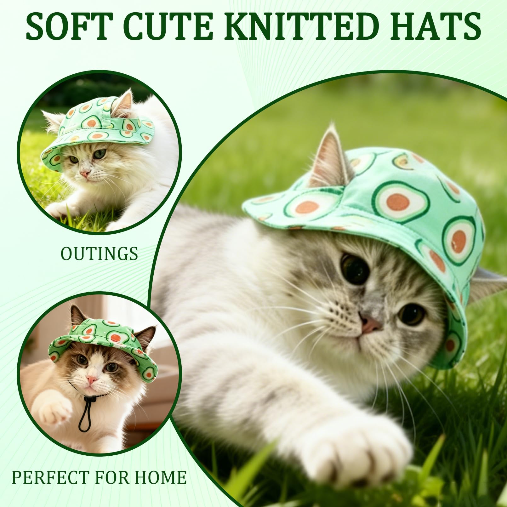 Chapeaux pour chats seulement