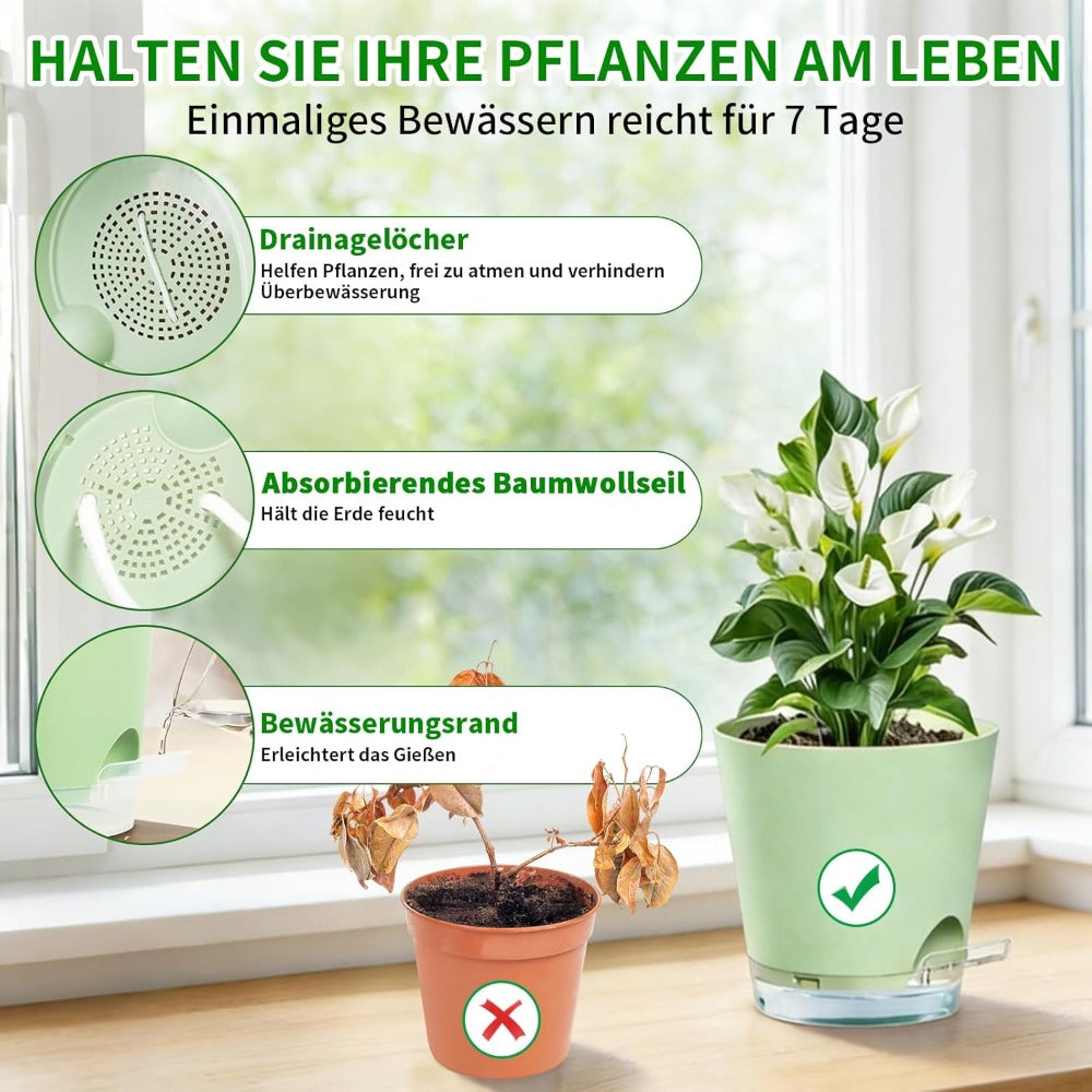 6 Pots de fleurs vertes avec fond transparent