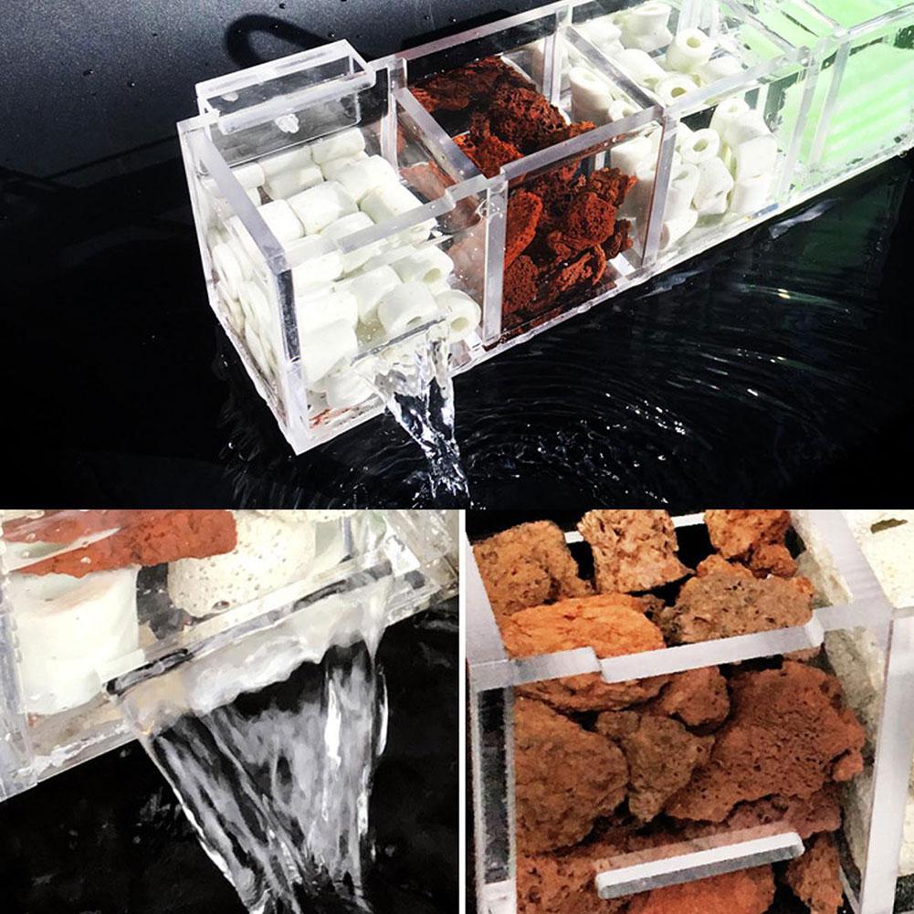 Mettre le filtre humide sur le filtre pour séparer le réservoir de poisson