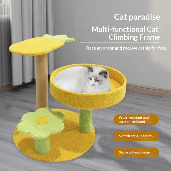 Animaux de compagnie Cactus Cat Tree Toys