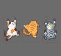 Sticker de voiture de chat à gratter Corps à gratter