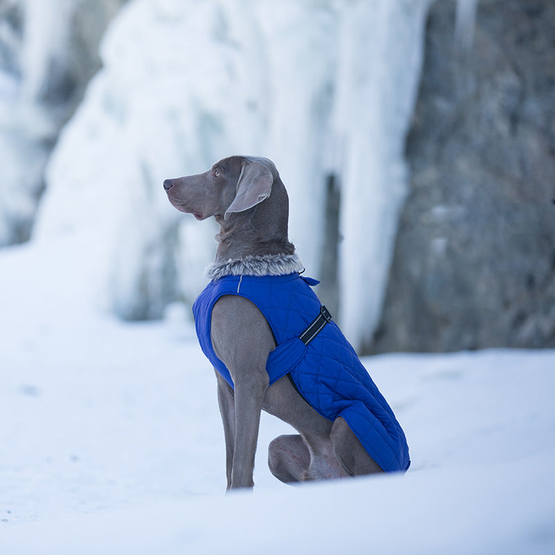 Vêtements pour animaux de compagnie Coton Coats Vente en gros