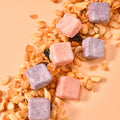 Granules de fruits séchés au gel de lait cru fermenté