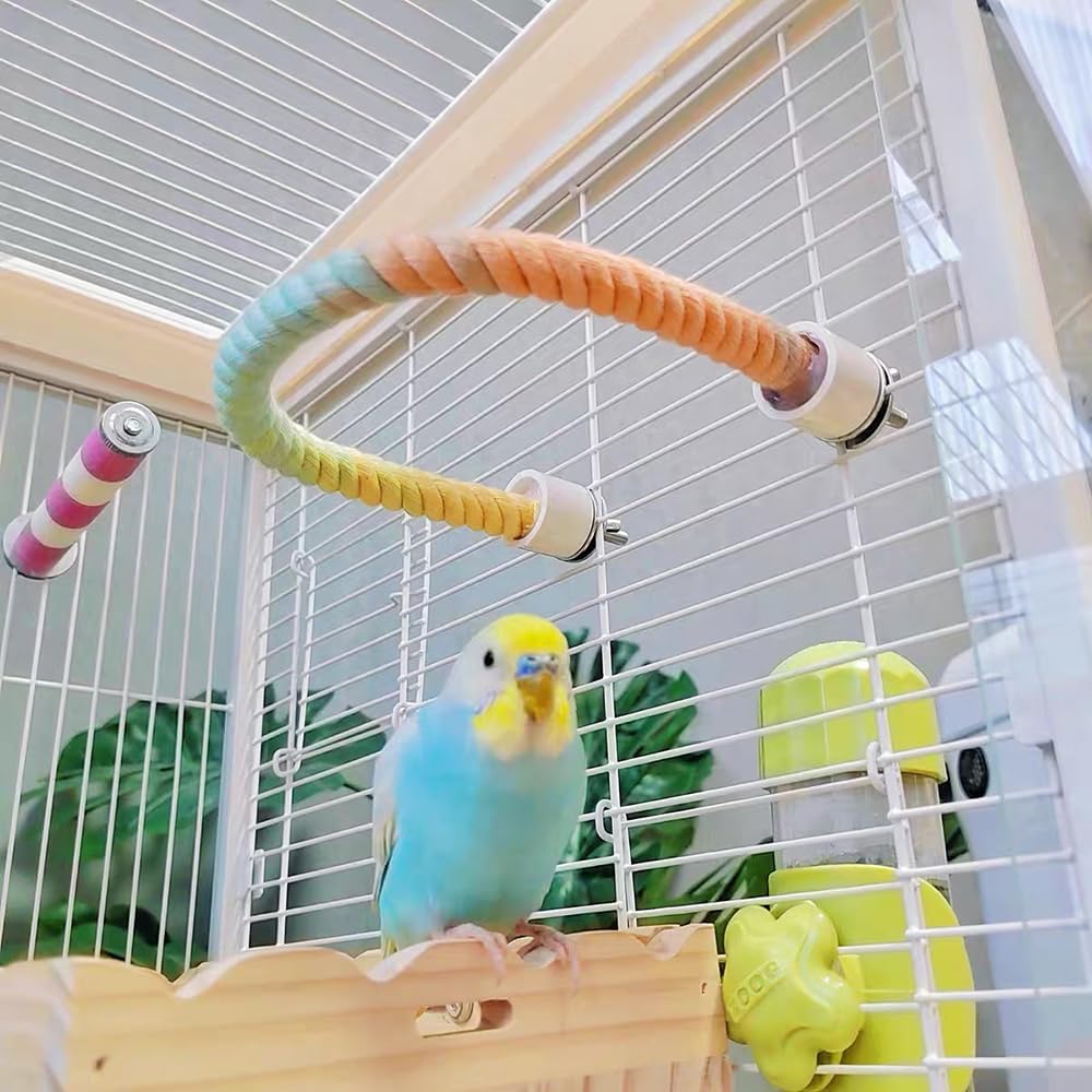 Stand de perche de corde d'oiseau coloré gradué pour les cages d'oiseau Bendable Cage d'escalade Accesso
