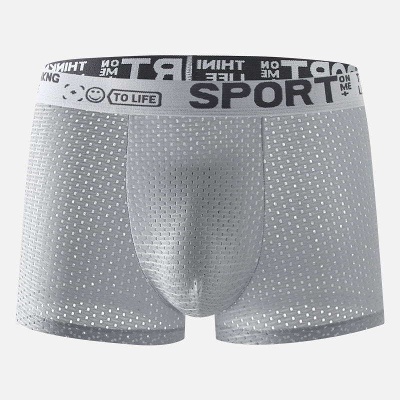 Sous-vêtements Hommes Ice Silk Mesh Boxers