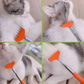 Brosse de massage pour jouets interactifs pour chat