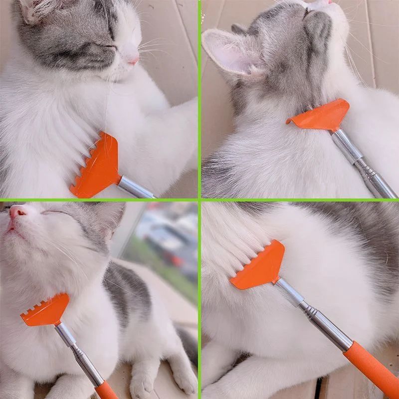 Brosse de massage pour jouets interactifs pour chat