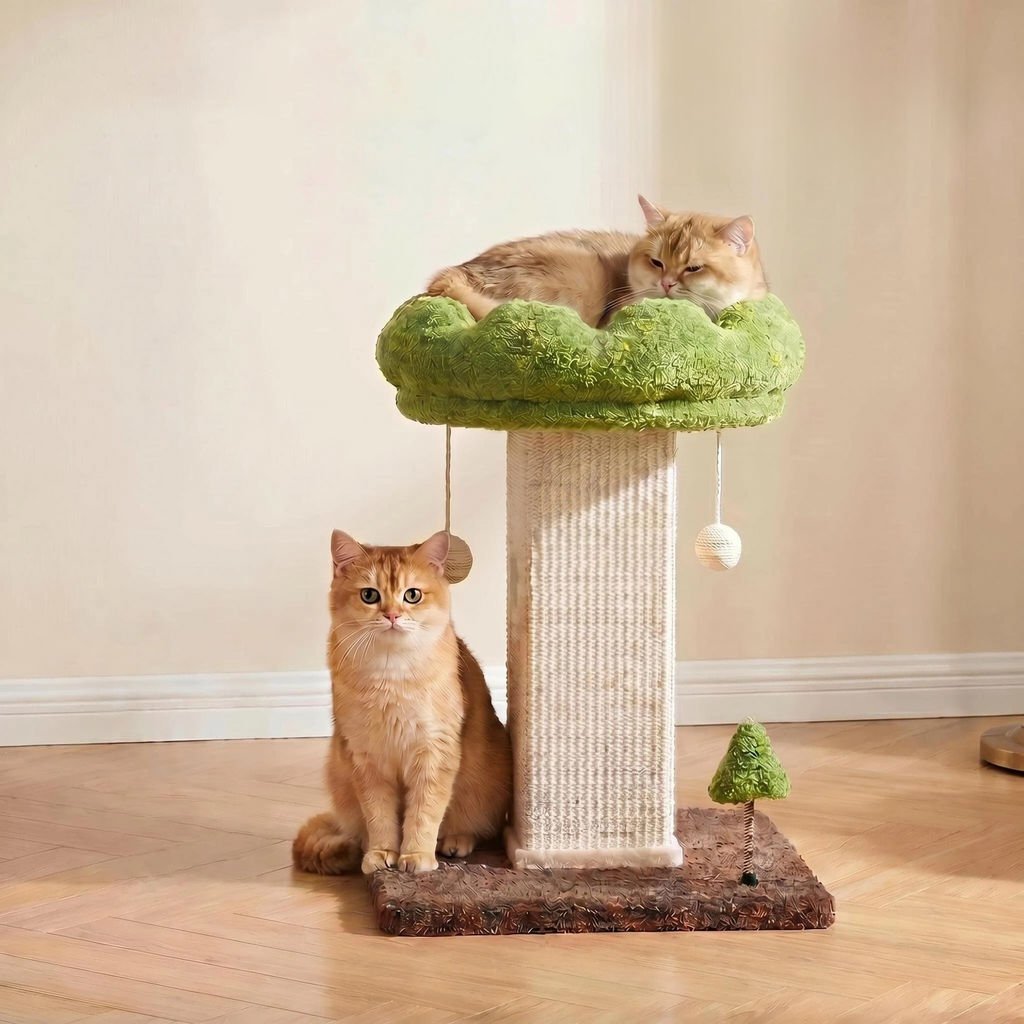 Flower Cat Scratching Post pour chat intérieur Scratcher avec perche confortable et amovible Pe