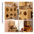 Maison du bâtiment de cabinet mixte Cat Villa