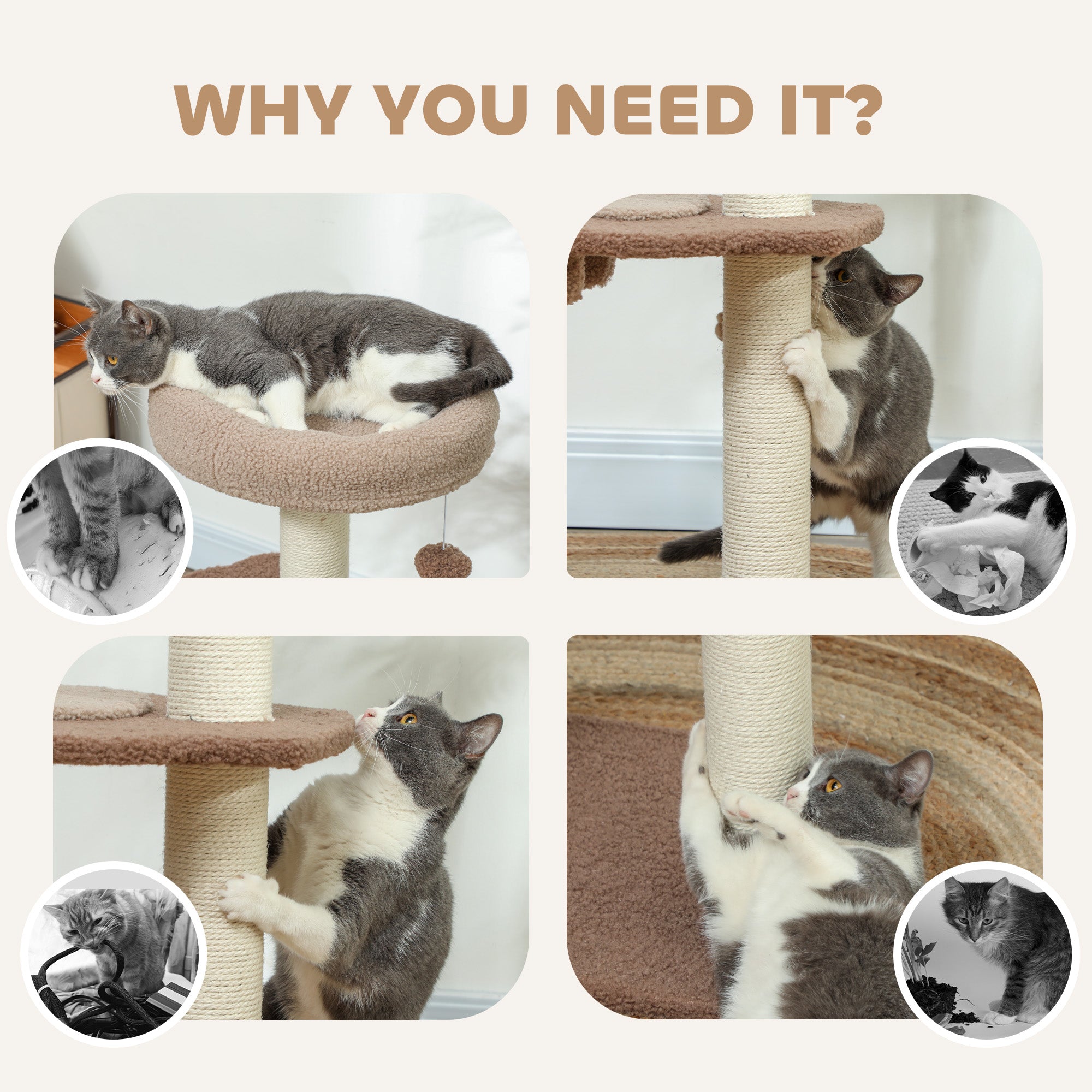 Arbre de chat pour les chats intérieurs