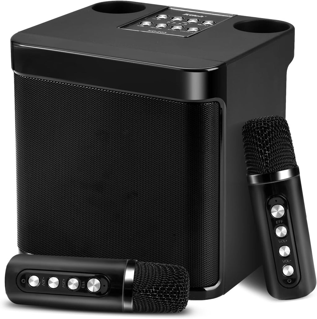 Haut-parleur de karaoké Bluetooth portable avec 2 microphones sans fil