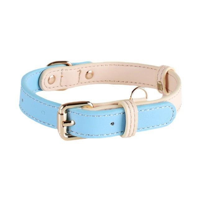 Collier en cuir pour chiens de taille petite et moyenne
