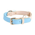 Collier en cuir pour chiens de taille petite et moyenne