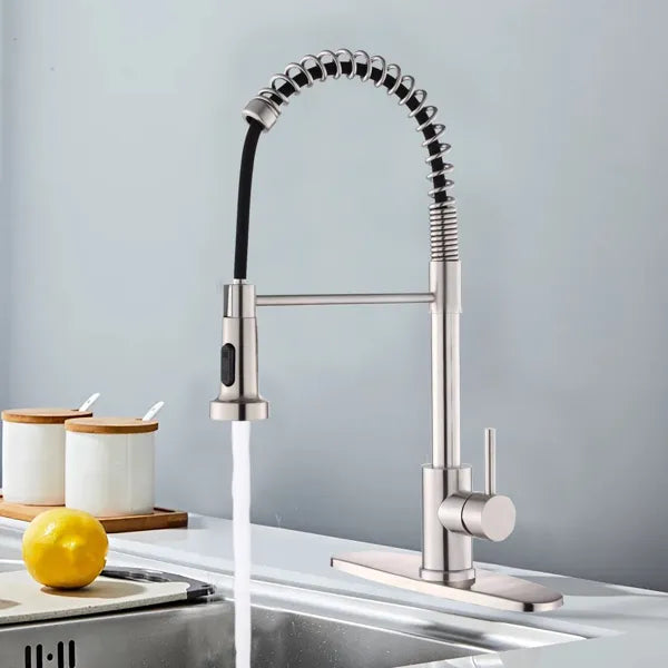 Robinet de cuisine avec pulvérisateur pulvérisateur industriel 1 poignée 1 trou ou 3 trous Robinet pour ferme