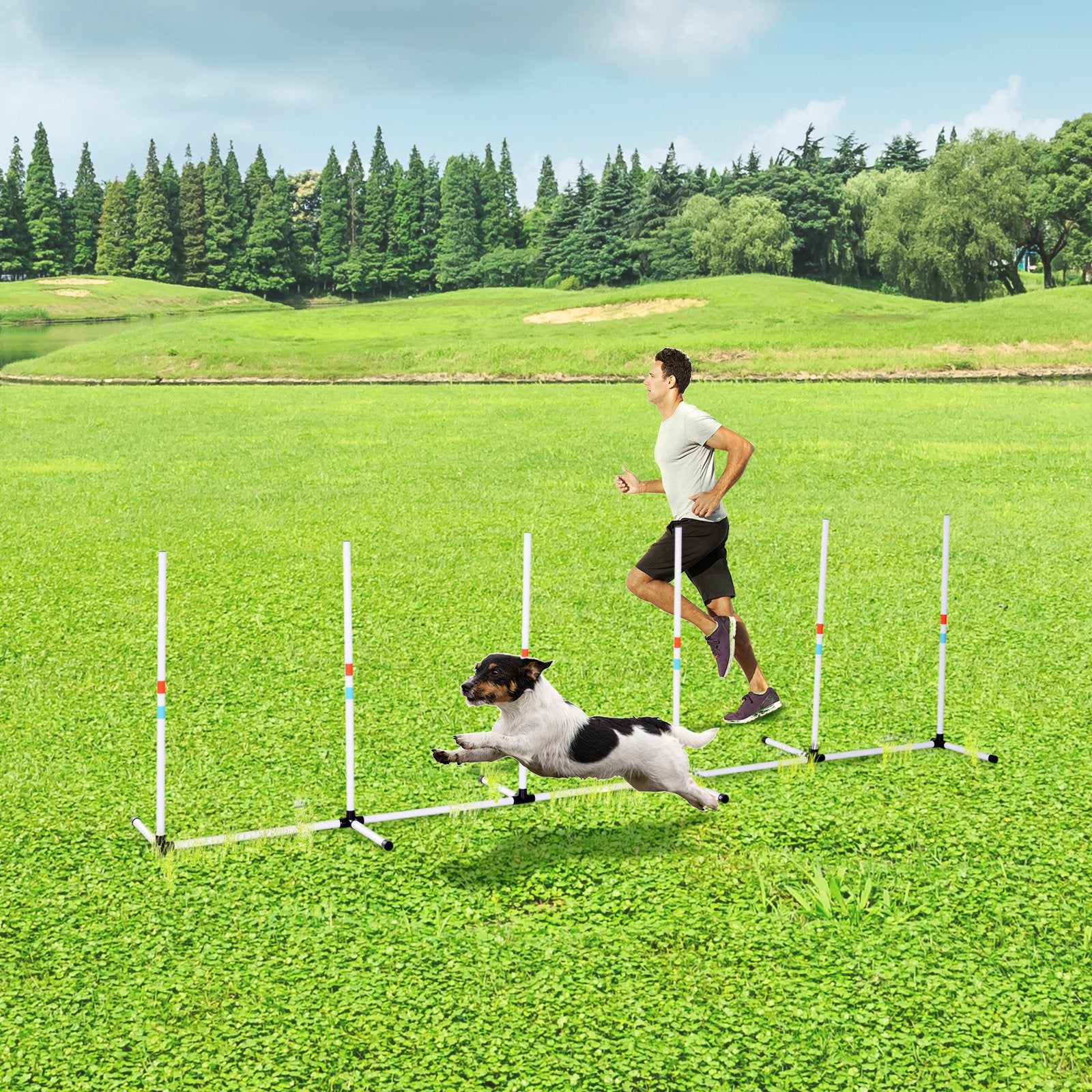 Pôles de chien robustes Équipement de vitesse et d'agilité des animaux Chiens Obstacle Extérieur avec stockage B