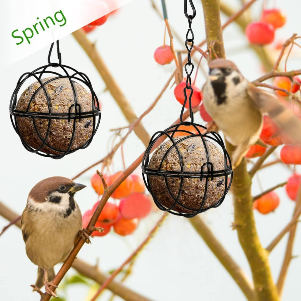 Ensemble de 4 Titmouse Suet Holder Bird Feeder Station pour accrocher